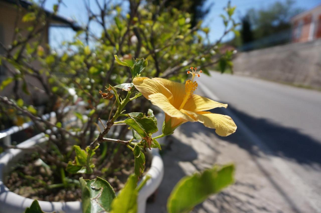 Kefalonia Sea View Cottage Ano Valtai 外观 照片