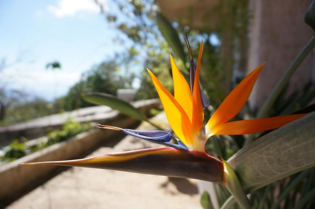 Kefalonia Sea View Cottage Ano Valtai 外观 照片